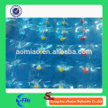 Bolas inflables inflables del rodillo del agua inflable de los puntos para el agua en color verde y azul para la venta